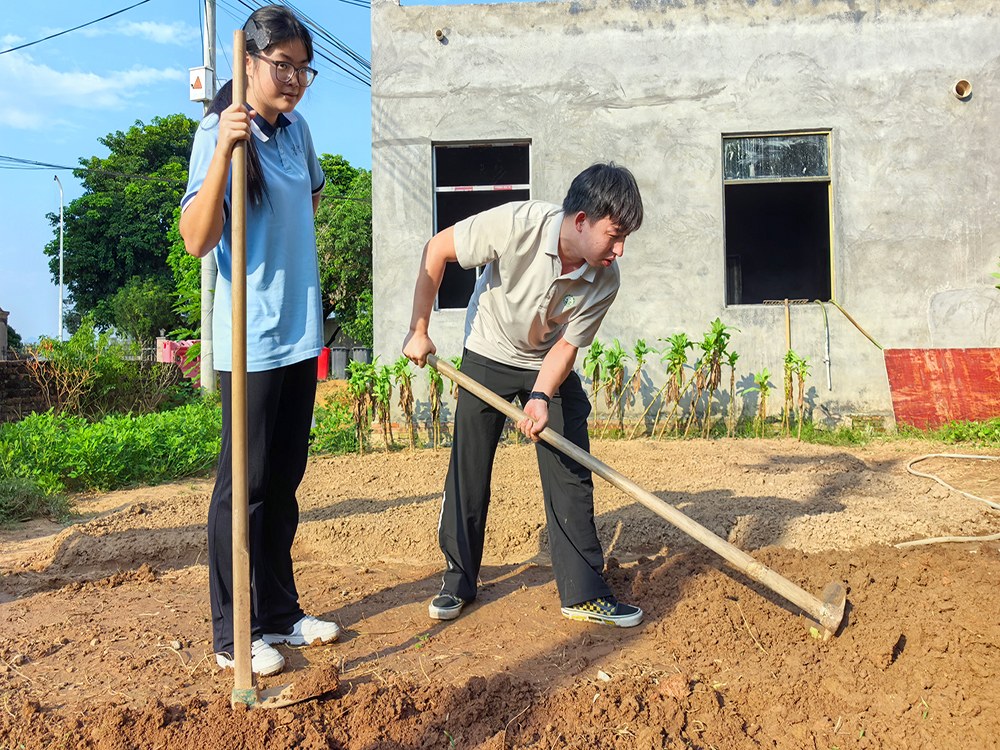 江门周边叛逆少年管理学校怎么联系?本地寄宿素质培育机构选择指南